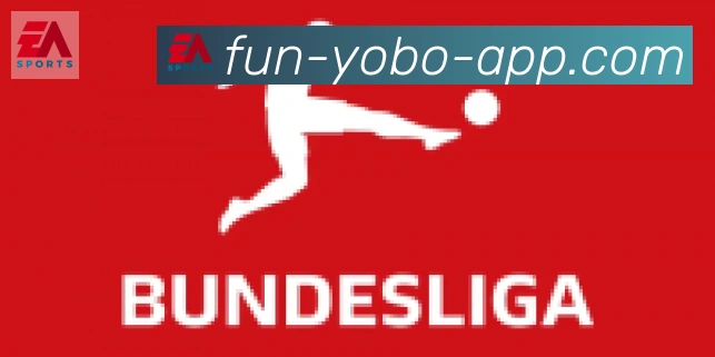 yobo体育合作伙伴